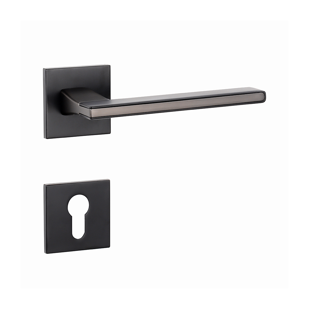 Modern matte black door lock
