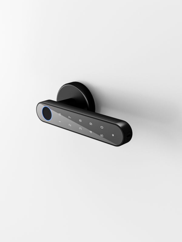 The most economical smart door handle